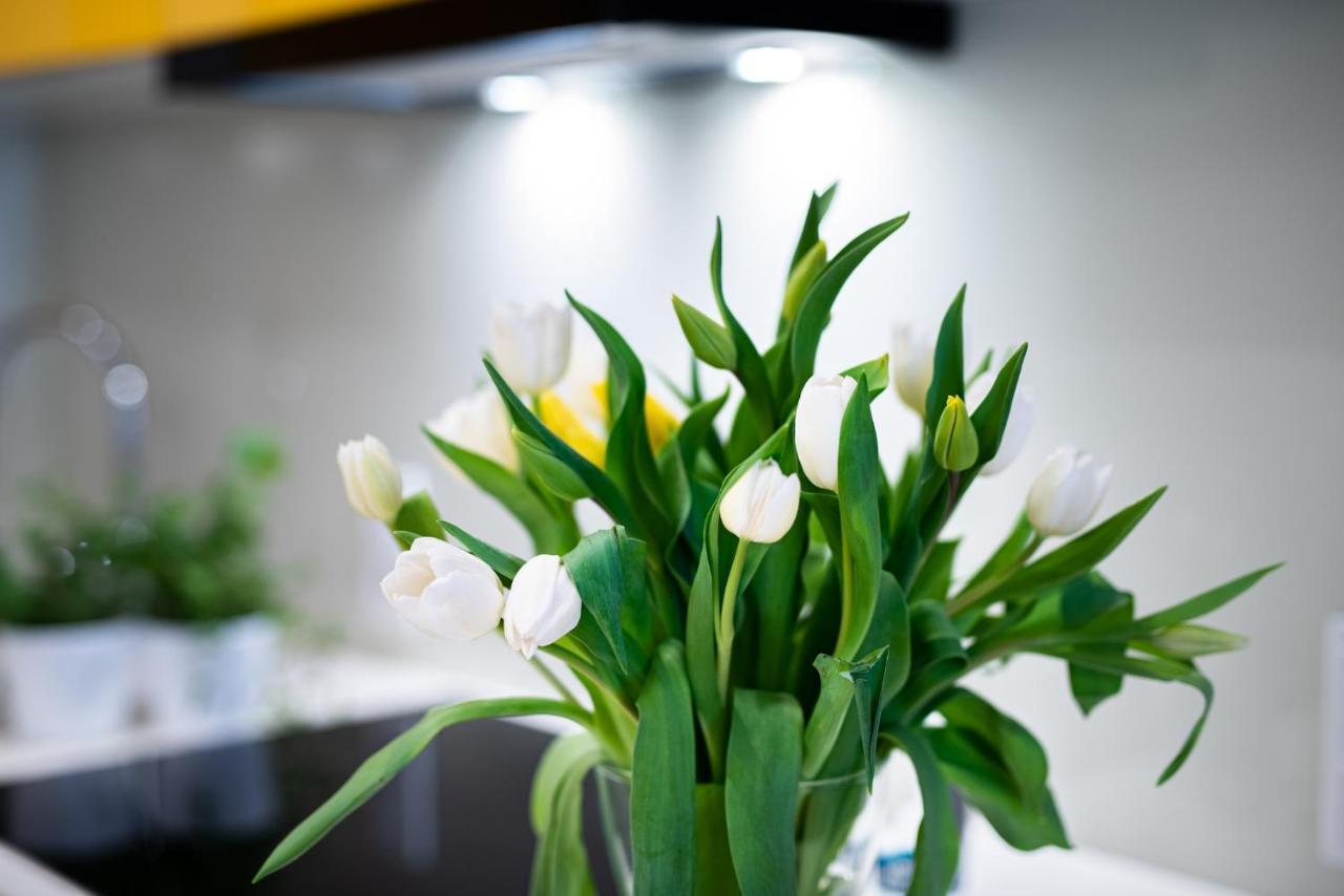 Apartamenty Tespis - Francuska Atal Park II Katowice Kültér fotó